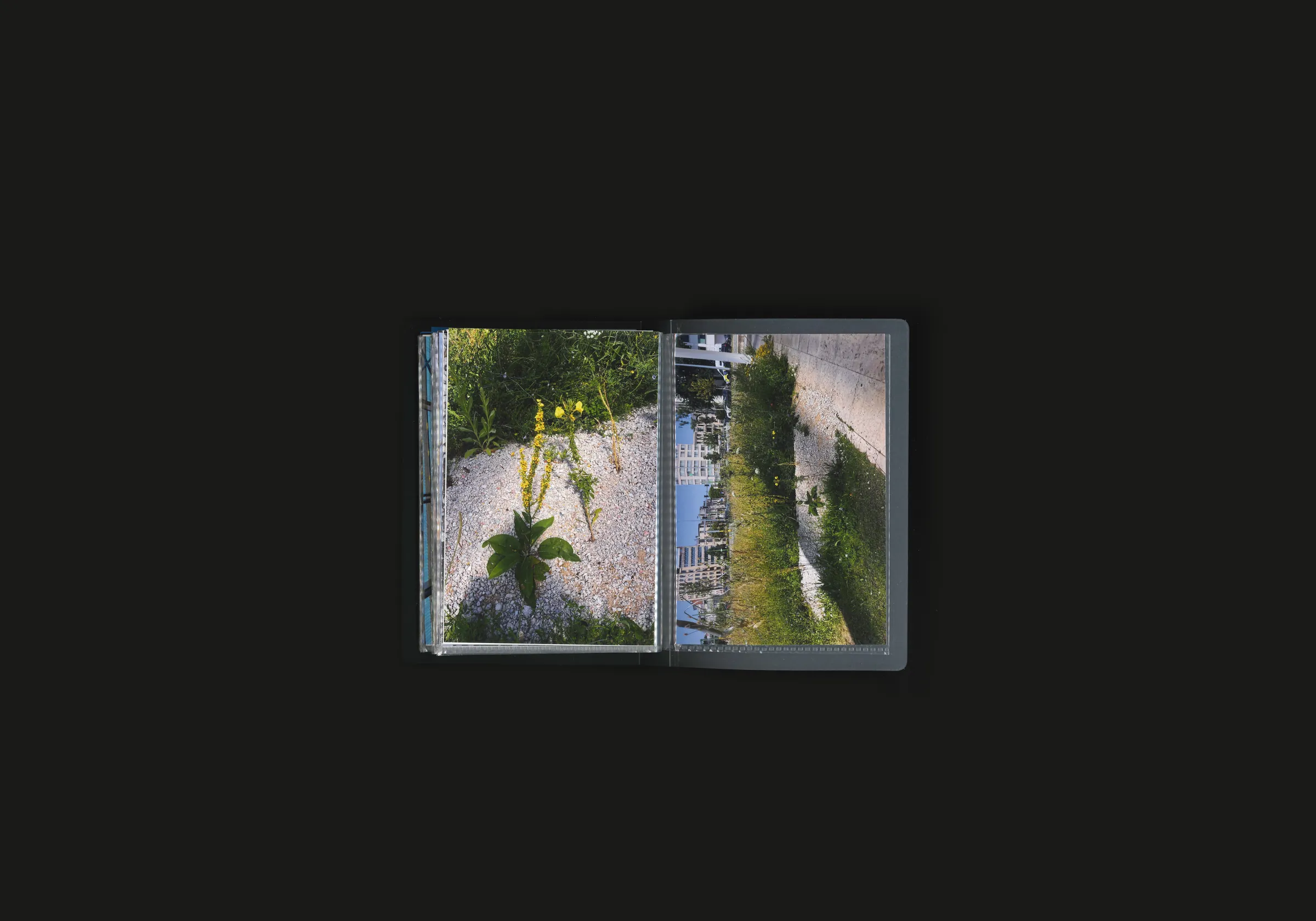 Place to Grow, image 10